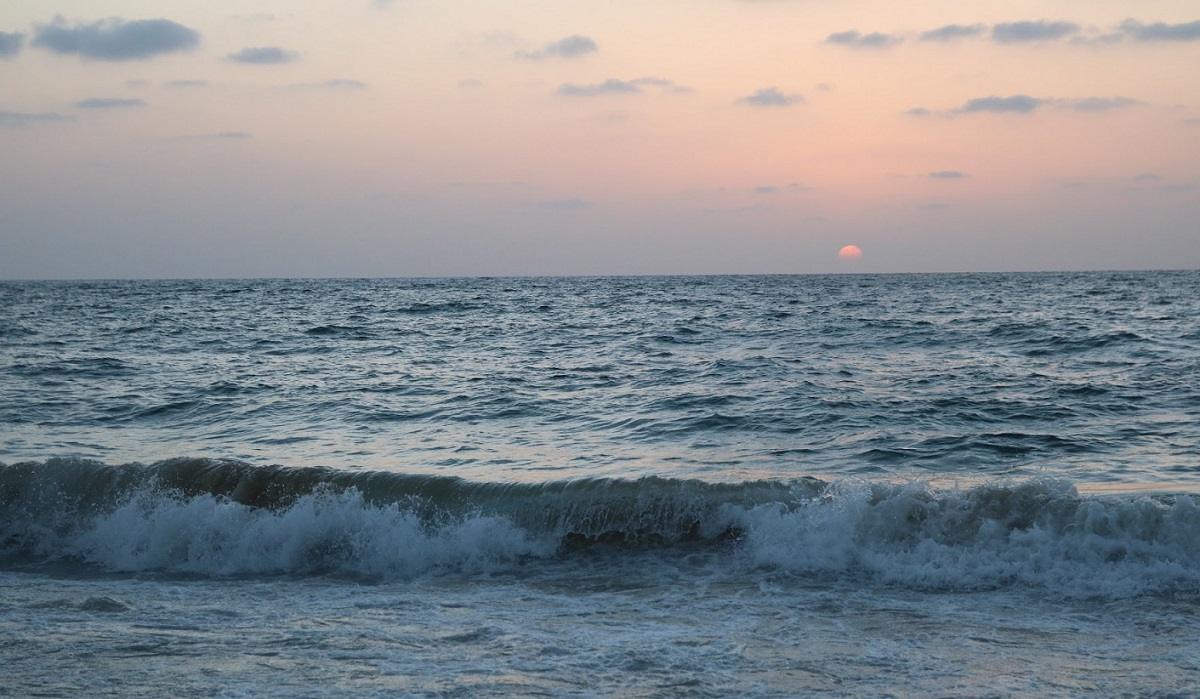 Planetary Signs $31 Million Ocean Carbon Removal Deal with Group Including Google, Stripe, H&M